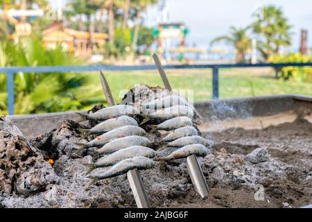 Griller les brochettes de sardines sur Delicious ( Espetos De Sardinas ) à Torremolinos situé dans la Costa del Sol, Espagne. Banque D'Images