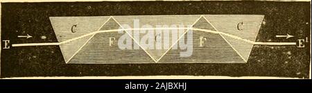 Les étoiles ; essai d'astronomie sidérale . noLaljlcincnt améliora ie prisme, élevant à cinq le nombredes prismes composants, deux de silex pesant de F, F, et trois decrown C, C, G (fig. 5), ce qui augmente la dispersion ; il con- struisit amsi. un petit spectroscope de poche, qui lut présenté ;je lAcadémie des sciences de Paris par M. Janssen, en 18(52. La construction de cet instrument est aujourdhui :- Banque D'Images