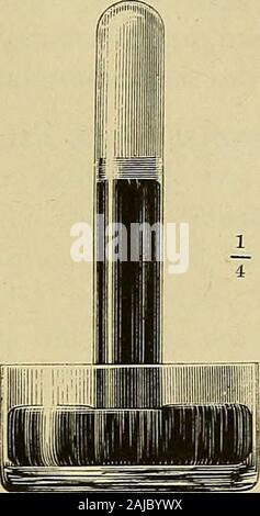 Physiologische Methodik : Ein Handbuch der praktischen Physiologie . Fig. 256. Banque D'Images