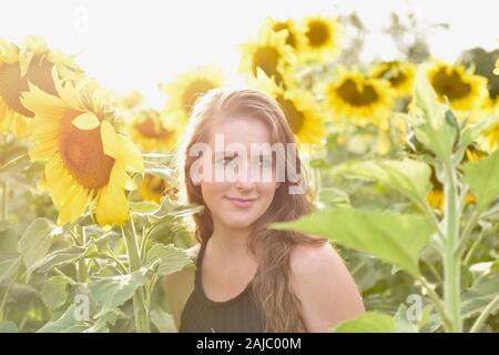 Femme dans le tournesol Banque D'Images