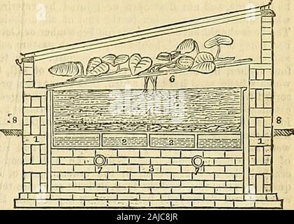 La Chronique des jardiniers et agricoles Gazette . e, mais qui n'ont probablement pas appliqué jusqu'ici dans la manière décrite ici. Fig. 1 est une section de la fosse, qui est censé en briques bebuilt sur le bord, avec un mur creux, en partie sous sol niveau. Ce mode de construction n'est pas essentiel au plan ; mais l'économie et utilité le recommander.Fig. 2 est une vue de la même, montrant la méthode de con-structing les partitions. Le réservoir est fait de fer, qui, pour la netteté et la durabilité, est décidément goose15 matériau qui peut être utilisé. Mais où l'Isan frais d'objection à l'utilisation du fer à repasser, b Banque D'Images