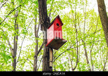 Red wooden birdhouse dans spring park Banque D'Images