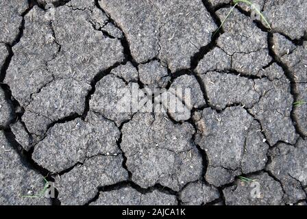 Close up of dry craked texture du sol Banque D'Images