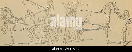 Source et sportif . Wm. Sesnons trotterSAN T. prometteuses FELIPE qui apparaîtra sur le circuit de la côte du Pacifique cette année à Chas. Piyders de chaîne. L'OBTENTEUR ET SPORTSHah [Samedi, 29 juin 1912.. Pourquoi pas ? Si c'est un carrelage Rood à elieefc ivhy sa tête, son pas taiWhich a le plus de cerveaux-cheval ou le propriétaire ? Après la queue de cheval a été sortie, les matières andbleeding vtith moignon est gravé au fer rouge. Nous venons de publier une nouvelle brochure. Il contient 132 pages. Il possède plus de 100 illustrations. Les dessins sont par Dickev andLeigh Robert L. S. Toman, des chefs dans l'art difficile Banque D'Images