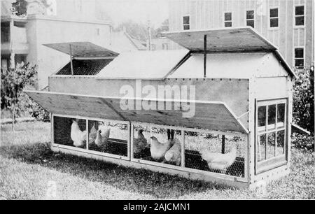 Le système progressif de Philo l'aviculture . Colonie d'hiver double. Coofh Hiver double longueur Coop. L'voof et les côtés sont ajustés pour la météo la plus chaude, ce qui ventilationand parfaite de l'ombre. Le centre du pavillon est stationnaire. ing, et 15 pouces de long, 1 petits trous ne sont perforées près de thetop des deux extrémités, et l'auge est accroché au-dessus de deux clous ils ont peut-être fait une longueur que de^l'IRED, mais la largeur ne doit pas être plus de la taille étant donné que les oiseaux pourraient alors se tenir en eux, ou sur le bord avant Banque D'Images