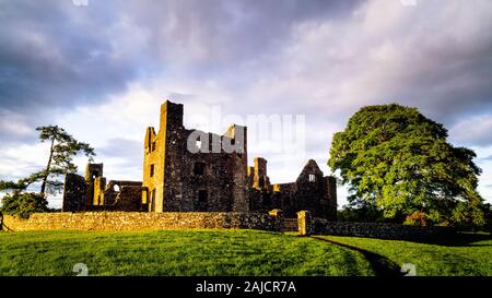 Ruines de la vieille abbaye de Bective, 12e siècle, entouré de mur et grand arbre vert. Ciel d'orage spectaculaire au coucher du soleil. Le comté de Meath, Irlande Banque D'Images