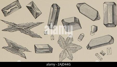 Pratique de la médecine : un manuel pour les étudiants et les praticiens . Diverses formes de cristaux d'acide urique-(Finlayson).Fig. 45.. Diverses formes de phosphate triple ^Finlayson). Dans la goutte, ou des débris du kidneysor hydatids ou la fibrose tuberculeuse du rein. Pronostic devrait être gardé. La guérison est la règle. Les 376 MALADIES DU TRACTUS GÉNITO- URINAIRE. danger principal est la rupture de l'uretère et les zones péri-tonitis ; ou la formation d'abcès, avec les sinus et les if-tula, et, par conséquent, de marasme, et dégénérescence amyloïde dans différents organes. Pierre-rein-traitement : ing din l'attaque le p Banque D'Images