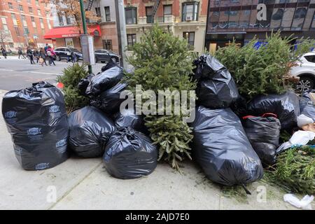Arbres de Noël jetés sur le dessus de déchets sur un trottoir de la ville de New York dans le quartier Murray Hill de Manhattan (2 janvier 2020) Banque D'Images
