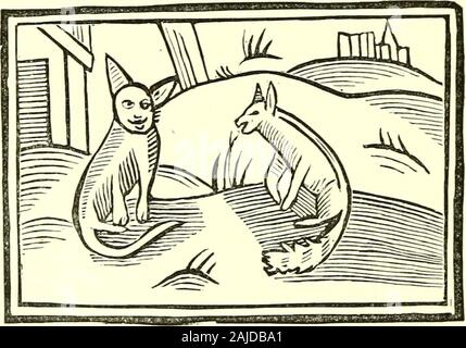 Chap Livres De La Dix Huitieme Siecle Chapitre 5 Tibert Le Chat A Ambassy Reynard Avec Le Badsuccess Tibert Etait Peu Dispose A Aller Sur Ce Message Mais En Longueur Fearingthe Kings Mecontentement