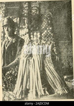 La nouvelle culture de la rhubarbe ; le guide complet de la force sombre et le champ de la culture, la façon de préparer et d'utiliser la rhubarbe . Société, et donnerait à twomore pickings ; la deuxième était censée bebest de tous. Ce producteur est un jardinier de plus de 40 ans d'expérience, de conférence et dit que c'est la meilleure récolte de payer il canraise, pour la raison que la plus grande partie de l'laboris fait après les autres cultures sont fixés et que l'salescome à un moment où si peu d'autre ne peut être cultivé le exceptby des méthodes coûteuses de croissant sous verre. Dans Groiving la serre.-undergreenhouse les bancs de l'espace peut être utilisé, par clo Banque D'Images