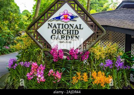 Singapour National Orchid Garden Banque D'Images