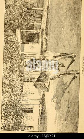 Accueil, le Missionnaire (Mai 1890-avril 1891) . s chrétiens de la Congrégation ? Il est dit de l'églises de confession une soeur qu'ilssont les colonies du Nord. Est-ce vrai de nos églises ? No,avec force ; les personnes du sud de naissance Inscrivez-vous librement. Des trois de hundredmembers l'église de Dallas, la moitié sont des autochtones, et c'est truein mesure de toutes de nos églises. Il faut rappeler qu'aucun com-promesse de principe touchant la caste fellowship a obtenu ce opendoor. Comme congrégationalistes, ensuite, nous avons l'occasion de faire ourfull partie confessionnelles dans le ve Banque D'Images