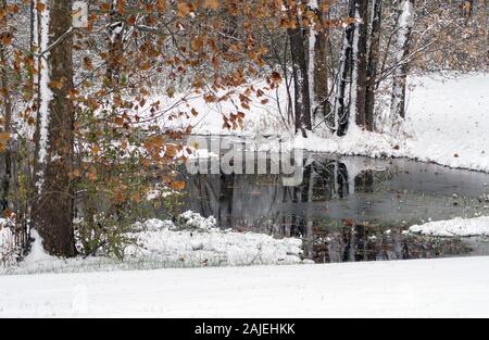 Jolie scène d'hiver avec un petit étang dans un bois, vitrage légèrement au-dessus avec de la glace Banque D'Images
