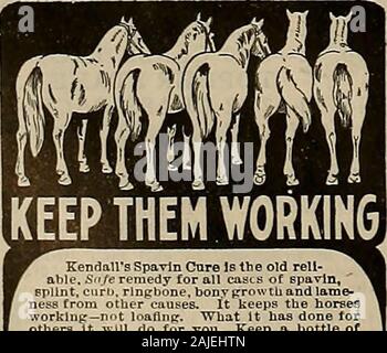 Source et sportsman . ld seulement pourles cheval qui commence. Règles du Trotting Association Nationale à gov-ern. Les inscriptions ferment dans les classes 1, 3, S et 10, le 1 août, 1912.Dans les classes nos 2, 4, 5, 7, 9 et 11 septembre, 1, 1912. Les chevaux peuvent être saisies n'importe quel moment, et d'enregistrer l'entrée n'est pas madeafter bar. Pour plus d'informations, l'adresse (A. R. Howe, Secrétaire, Phoenix, Arizona.. D'autres associations annonces apparaîtront plus tard. Pour plus d'informations adresse locale, secrétaires ou SHIRLEY CHRISTY, Secrétaire du circuit, Phoenix, Arizona. VeterinaryDentistry Ira Barker Dalziel toutes facilités pour donner le rythme pro lo Banque D'Images