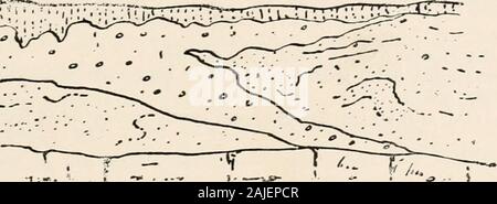 La géologie des sols et des substrats, avec référence spéciale à l'agriculture, des domaines, et l'assainissement . Grande Oolite. Que formationwas dans des endroits perturbés, et des parties de l'ancien sol ont été dépouillés, inclus activation avec masses de la rubbly rock, dans la dérive. Dans l'argile était otherplaces Boulder accumulés de manière égale sur l'Oolite, therubbly de surface qui a été raboté off sans produire de perturbations dans le anymarked sous couches. de 340 pieds a été enregistrée ; dans Northumberlandand épaisseurs de Durham de plus de 230 pieds d'Drifthave été prouvé. Dans ces cas, la dérive remplit vieux - H. B. Banque D'Images