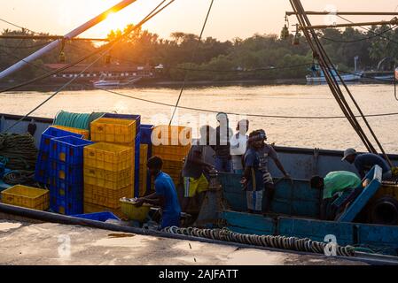 Poissons fraîchement pêchés triés dans une caisse et congelés pour le transport et la vente à Goa Inde Banque D'Images