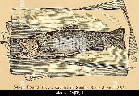 Guide pour l'Asiatic, Spider, et la région de la rivière de point mort supérieur de la province de Québec et l'état du Maine .. . Oublié que nous devions agir comme chaperon à la partie qui pour la première fois visiter le territoire loué par l'Association de Mégantic et procéder à l'objectif principal de ce travail, et donne une brève description de l'butpractical des différents lacs, ruisseaux, et des forêts qui offrent de nombreuses attractions pour tous les loversof oood huntina : et la pêche.. Banque D'Images