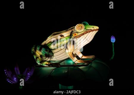 Varsovie, Pologne - 16 décembre 2019 : Big toad au festival lumière chinois, la culture chinoise traditionnelle exposition, l'éclairage de nuit au Fort Bema Banque D'Images