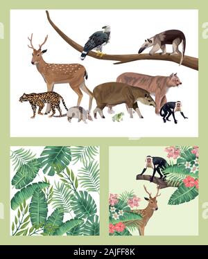 Groupe d'animaux sauvages et exotiques Illustration de Vecteur