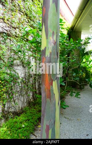 PENANG, MALAISIE -6 nov 2019- Avis de l'hôtel Edison George Town, un hôtel de charme dans une ancienne demeure coloniale dans la ville historique de George Town, Penang, m Banque D'Images