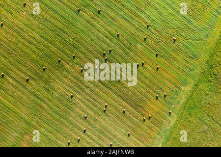 Vue aérienne de l'été à l'extérieur du paysage avec des balles de foin sec durant la récolte. Lignes de sentiers sur les terres agricoles. Vue supérieure du paysage agricole. Vue de drones. B Banque D'Images