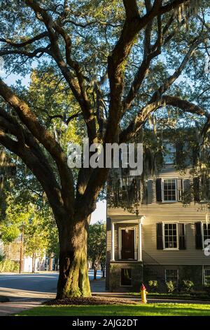 Maison typique dans le centre-ville de Savannah, GA, États-Unis d'Amérique Banque D'Images