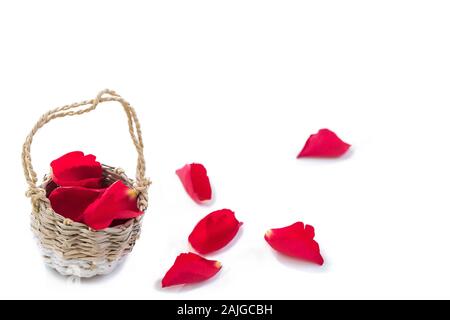 Panier en osier de pétales de rose rouge, avec un peu sur le sol, sur fond blanc, valentine's day love romance noces concept d'amour tendresse symbole de luxe, spa, Banque D'Images