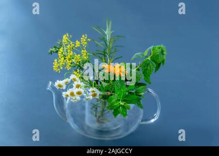 Plateau-pot de thé de fines herbes et de plantes, fleurs isolé sur fond blanc Banque D'Images