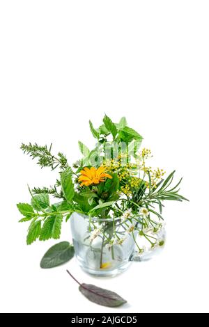 Tasse de thé de fines herbes et de plantes, fleurs isolé sur fond blanc Banque D'Images