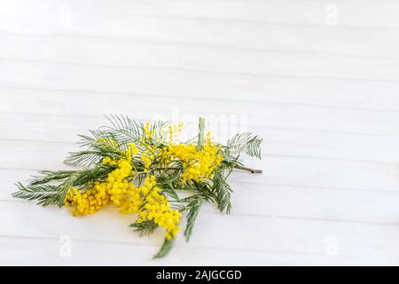 Les fleurs du printemps.bouquet de fleurs mimosa isolated on white top voir l'espace de copie. Banque D'Images