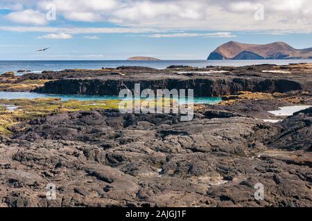 Paysage côtier de l'île de Santiago, Galapagos, Equateur. Banque D'Images