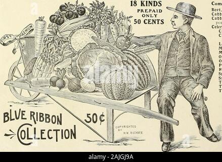 Buckbee H.W guide des semences et des plantes : 1905 . BUCKBEES RUBAN BLEU. 50 100 OFTESTED la collecte de semences de légumes. Comprend 18 paquets de libéral. Edmands, betterave navet de sang.Le chou, vrai début de Wakefield.Chou, pont de mammouth-port tambour.le céleri, nouvelle plume blanche.Carotte. Intermediate.Concombre, Buckbees Mon-arch.La laitue. Début.Melon, musc. La meilleure variété.Melon, l'eau, l'oignon, Dixie Nouveau.Biukbees Danvers.l'oignon. New Silver Peau.panais, radis.Maltais nouvelles. Meilleur Navet.Les épinards. Nouveau cycle Leaf.Squash. Nouveau Crookneek.Tomato, nouvelle beauté.Tomato, New Plum.BuckbeesPurpleTop,navet. 10 bulbes à fleurs. Cette collecte Banque D'Images