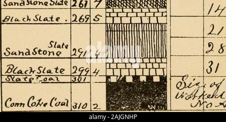 Rapports des inspecteurs des mines de charbon bitumineux et anthracite les régions de New York, pour l'année .. . IanaStonoS flliill/JC. Banque D'Images