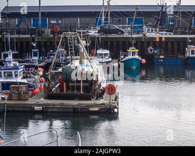 Des bateaux de pêche à l'Portavogie Harbour Banque D'Images