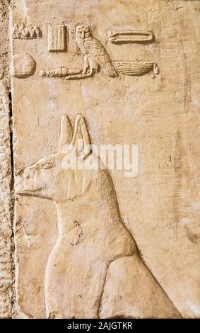 UNESCO World Heritage, Thèbes en Egypte, Assassif (partie de la vallée des Nobles), tombe de Anchhor. Le chien du maître. Banque D'Images