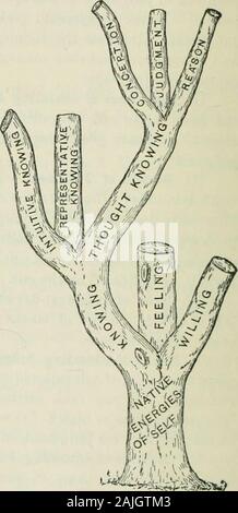 La psychologie appliquée à l'art d'enseigner / par Joseph Baldwin ; avec une introduction par James Gibson Hume . erreur d'élèves faisant glisser à travers le travail qu'ils n'notunderstand. Signaler deux erreurs que vous avez observé. 200 Psychologie appliquée et l'enseignement. Chapitre XV de l'éducation. EEASON Cela signifie le développement de la puissance todiscern les relations de cause. La pensée est rela-tions les plus exigeants. Quand nous conceivewe discerner les relations de classe;comme, animales, végétales.Lorsque nous jugeons nous dis-cern vérité - relations ; que, Dieu est amour. Quand wereason nous discerner les relations de cause ; comme nous sommes, hap-py car  %m Banque D'Images