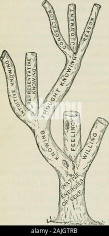 La psychologie appliquée à l'art d'enseigner / par Joseph Baldwin ; avec une introduction par James Gibson Hume . i les âmes différentes capacités peuvent être étudiées séparément ils peuvent pas bethought de comme agissant séparément.Le fait de l'interaction de l'ourvarious pouvoirs est fondement-al dans l'éducation comme dans mentalscience. Il bethought de jugement comme simplement l'auto-jxidg-ing. Le jugement est re-enforcedby toutes nos autres capacités, butan act de discerner la vérité est es-sentially un acte de jugement. I. Relations.-po-tion de l'arrêt dans themental indi-ment de l'économie est par la coupe dans themargin. Comme Banque D'Images