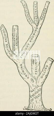 La psychologie appliquée à l'art d'enseigner / par Joseph Baldwin ; avec une introduction par James Gibson Hume . passagers sur elle ; il croit que le bridgeis coffre-fort. C'est la foi. Les raisons que la Bible chrétienne est com-plètement adapté à l'homme, et doit donc être l'œuvre de l'AUTEUR DE LA CONCEPTION DE L'éducation. 171 de notre être ; il croit que cette conclusion, il fait confiance à ses risques, l'eter-nal tous sur elle. C'est la foi. Chapitre XIII. L'ÉDUCATION DE LA CONCEPTION. Cela signifie le développement de la puissance tothink les individus en classes. Personslack sans instruction et pouvoir saisir d'esprit parce qu'ils n n Banque D'Images