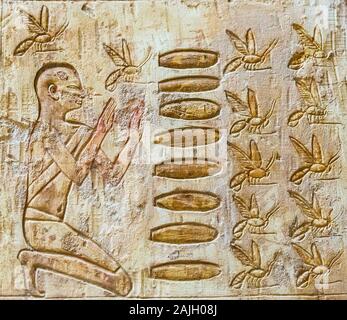 Thèbes en Egypte, Assassif (partie de la vallée des Nobles), tombe de Pabasa. Une scène rare de l'apiculture : prier avant que les abeilles. Banque D'Images