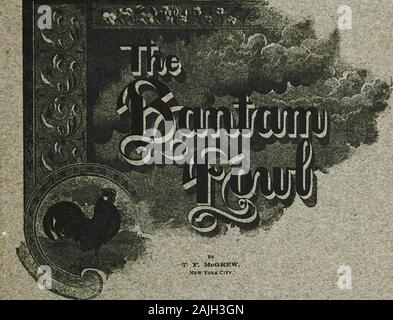 Les poules bantam ; une description de toutes les espèces et variétés de standard, et bantams de nouvelles races qui sont en train de devenir populaire .. . &Gt ; .£r^^ ?&gt ; .**il. T. F, MoQREW, New York City. -COPYRJOHT roOE Volaille fiable Journal Publishing Co. EUBIilSHSD   PAR LA VOLAILLE,fiable, JOURNAl PUBLISHING COMPANY, QUINGY, ILLINOIS, U., A. Banque D'Images