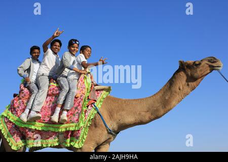 Ecoliers équitation de chameau, Grand Rann de Kutch, Gujarat, Inde Banque D'Images