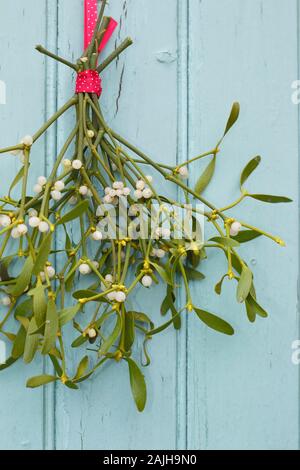 Le Viscum album. Bouquet de gui accroché sur une porte en bois en hiver. UK Banque D'Images