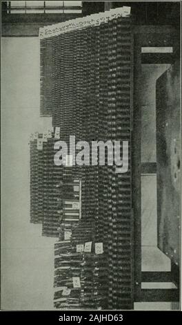 Transactions - American Society of Heating, Refrigerating and Air-Conditioning Engineers . Des tests sur l'ACIER ET L'ENFILAGE DU TUYAU EN FER FORGÉ 315. Pas TKSTS THRKADINC 3316 OX, STEEI. Et TUYAU EN FER FORGÉ Banque D'Images