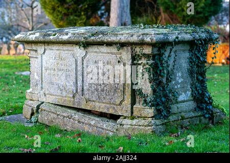 19e siècle pierre tombale de lierre dans un cimetière en Angleterre Banque D'Images