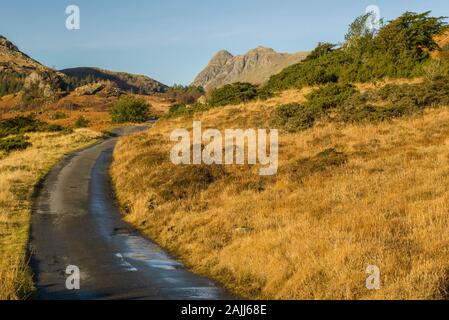 La route de La vallée De Little Langdale vers les Pikes de Langdale dans le parc national de Lake District Cumbria. Cette route est étroite et cahulée. Banque D'Images