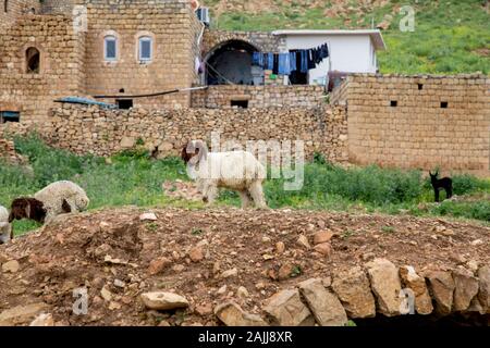 Vue du village de Bilali près de Mardin. Très peu de gens vivent dans ce village de syriac aujourd'hui. Banque D'Images