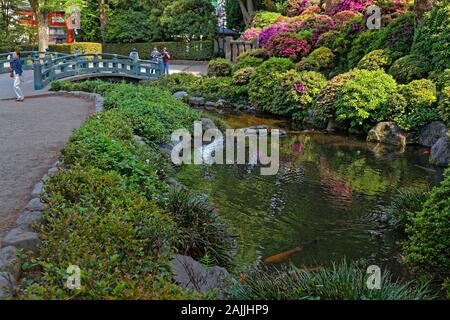 TOKYO, JAPON, 16 mai 2019 : Jardins de temple Nezu. Nezu est un sanctuaire Shinto situé dans le quartier de Bunkyo Tokyo. Banque D'Images