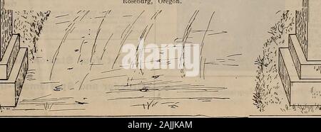 Source et sportif . VOLUME LX. N° 5. SAN FRANCISCO, le samedi 3 février, 1912. 3,00 $ par abonnement- Yeai I.//J // &gt ;- ? ;V/. ft v/ %y fvi v;i &gt;v ?" ? Par McKinney 2:113^ ; barrage par Gossiper. Administré par tbe Bonaday Stock Farm, Roseburg, Oregon. ^ ^W/tgmwrjv^ t [. Banque D'Images