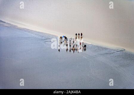 Les touristes marchent dans les flames de boue près du Mont Saint-Michel à marée basse. Mont Saint-Michel, Normandie, France Banque D'Images