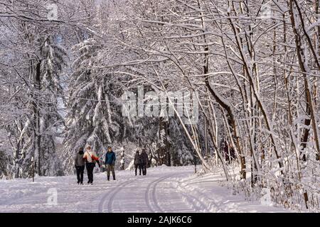 Montréal, CA - 01 janvier 2020 : Les personnes marchant sur un sentier enneigé à Montréal sur le mont Royal Park (parc du Mont-Royal) après une tempête de neige. Banque D'Images